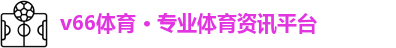 v66体育
